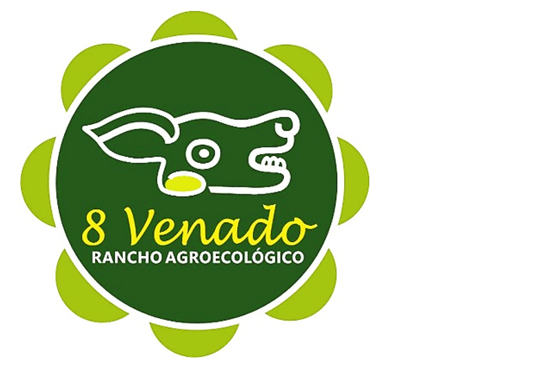 8 Venado